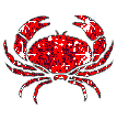Gify, znaki zodiaku, horoskop