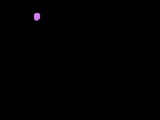 Gify, gifs