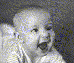 Gify, gifs