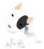 Gify, gifs
