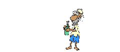 Gify, gifs