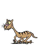 Gify, zwierzta