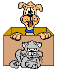 Gify, zwierzta