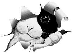 Gify, zwierzta
