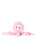 Gify, zwierzta