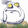 Gify, zwierzta
