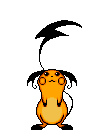 Gify, zwierzta