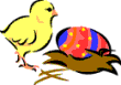 Gify, zwierzta