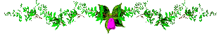 Gify, linie