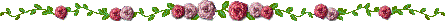 Gify, linie