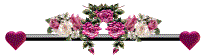 Gify, linie