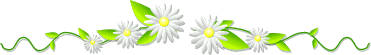 Gify, linie