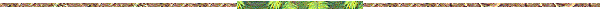 Gify, linie