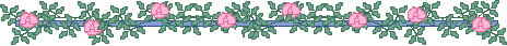 Gify, linie