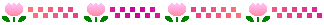 Gify, linie