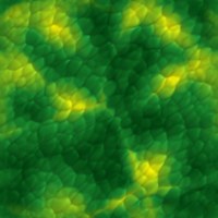 Gify, tła, backgrounds