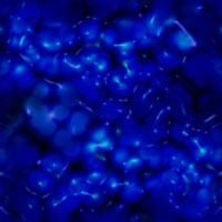 Gify, tła, backgrounds