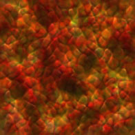 Gify, t�a, backgrounds