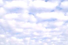 Gify, t�a, backgrounds